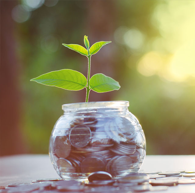 Image showing a jar filled with coins with growing plant on top